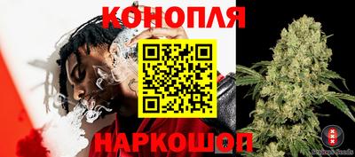 спиды Жуковский